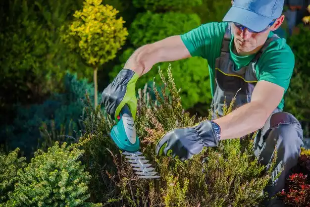 landscaping services Green Park